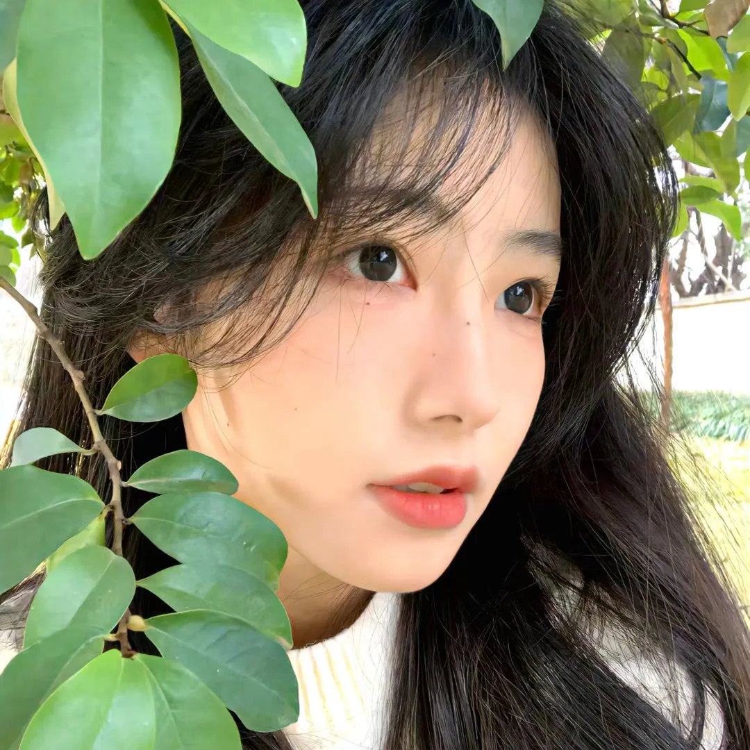 瑶池凤舞
