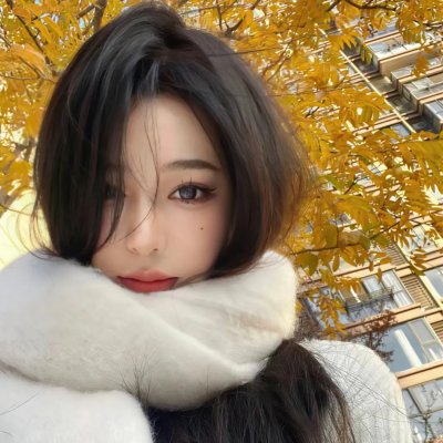 乱世伤痕:末代总督的秘密